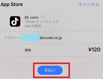 金額を確認して『支払い』をタップ