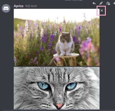 「×」ボタンをクリック