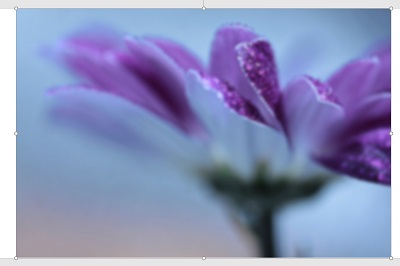 画像にぼかしが入った