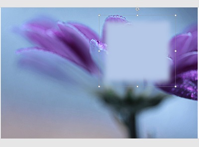 部分的なぼかしを加工できた