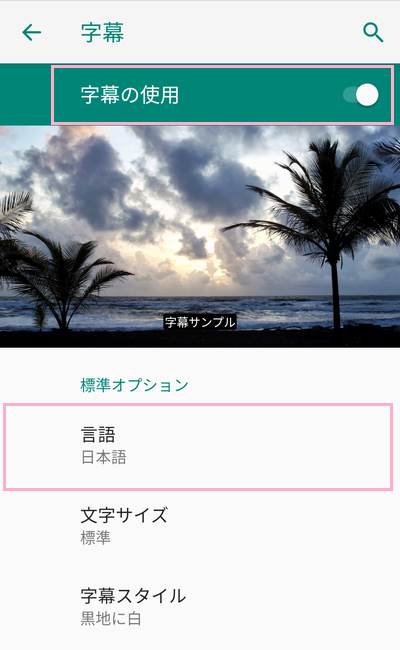 「字幕の使用」ボタンをオンにし「言語」一覧から「日本語」を選択