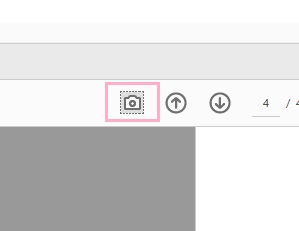 ツールバーにスナップショットのボタンができた
