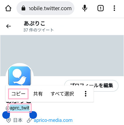 IDをロングタップして範囲選択し、「コピー」をタップ
