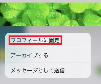 『プロフィールに固定』をタップ