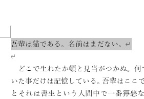 囲み線を削除できた