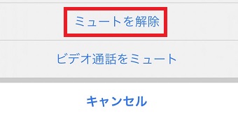 『ミュートを解除』をタップ