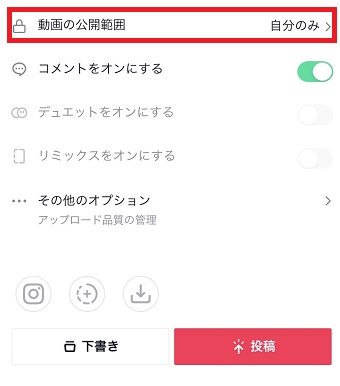 『動画の公開範囲』を『自分のみ』に設定