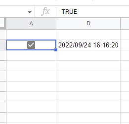 チェックボックスを挿入できた