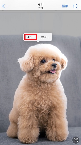 『コピー』をタップ