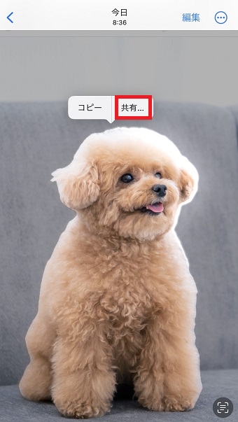 『共有』をタップ