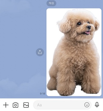 切り抜いた写真を送ることができる