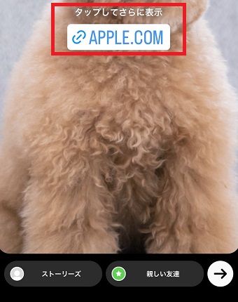 リンクが作成できた