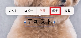 表示された『テキスト』→『編集』をタップ
