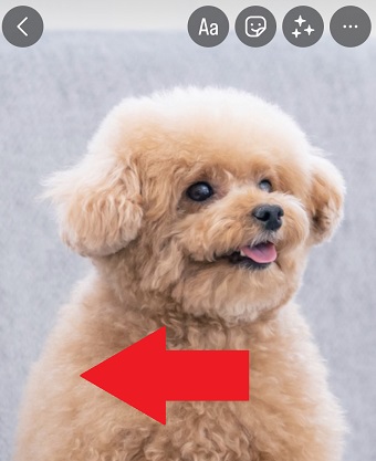 加工したい画像をタップして左側にスワイプ