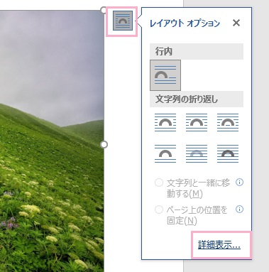 レイアウトオプションの「詳細表示」をクリック