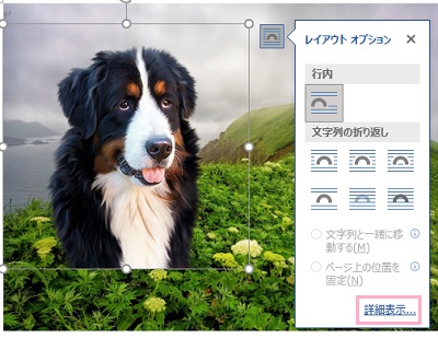 「詳細表示」をクリック