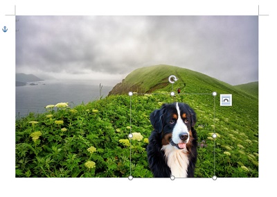 画像四隅に表示されているハンドルで調整できる