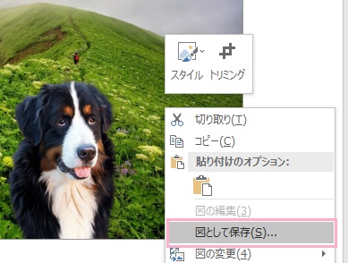 「図として保存」から保存できる