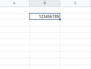 9桁の数字が入力されている