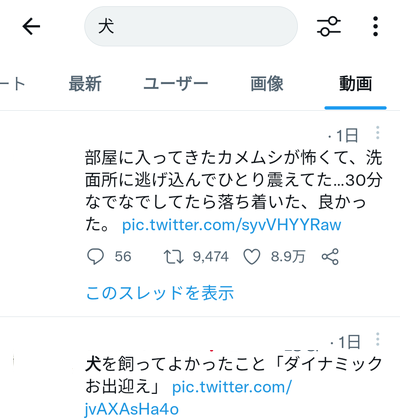 キーワードが入力されている動画付きツイートのみが表示される
