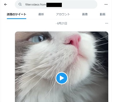 「filter:videos from:ユーザー名」と検索窓に入力