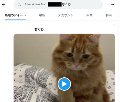 「filter:videos from:ユーザー名 検索する動画のキーワード」と検索窓に入力