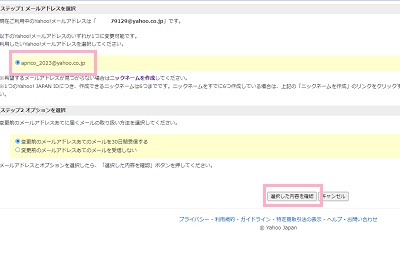 先程登録したニックネームが入力されているメールアドレスを選択し「選択した内容を確認」をクリック