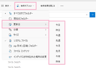「*（ワイルドカード）」を入力し「検索オプション」メニューを開いて「更新日」を指定