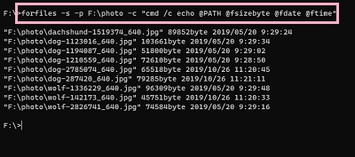 「forfiles -s -p ディレクトリのパス -c "cmd /c echo @PATH @fsizebyte @fdate @ftime"」と入力