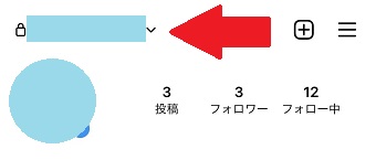ユーザーネームはアイコンの上に表示されている