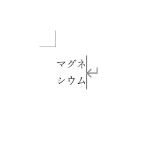 任意の文字列を割注として入力できた