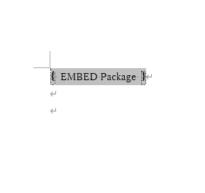 {EMBED Package}表示