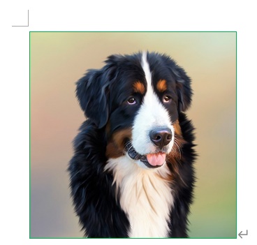 緑色の枠線をつけることができた