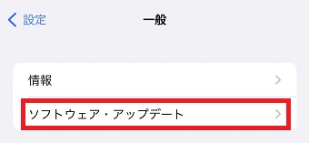 「ソフトウェア・アップデート」をタップ