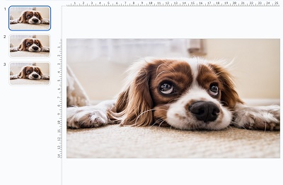 すべてのスライドに対して、背景画像を適用できた