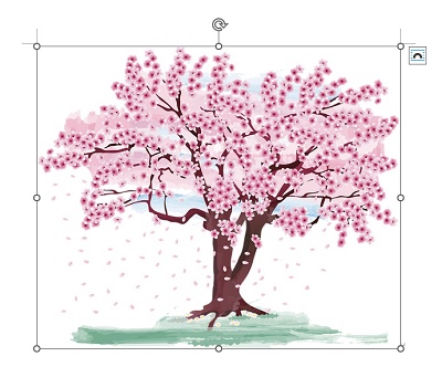 透過したい画像を挿入できた