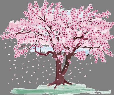 画像ビューアーで透過を確認