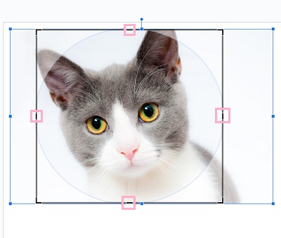 グレーの枠の上下左右に表示されているマーカーをドラッグして、切り抜く範囲を指定