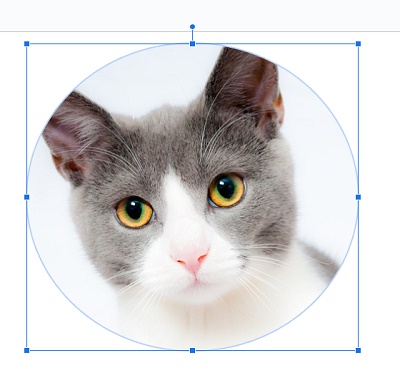 丸くトリミングしたい