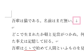 下矢印は「Shiftキー+Enterキー」で改行したもの