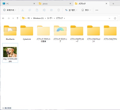 ファイルをコピーすることができた