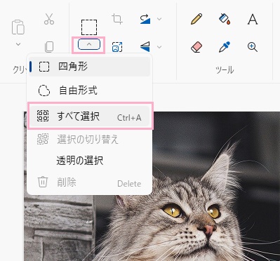 リボンメニューの「イメージ」項目の「選択」の下矢印をクリックして表示されるメニューの「すべて選択」をクリック