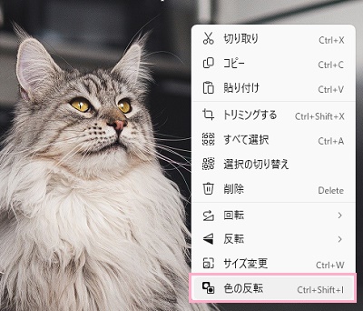 「色の反転」をクリック