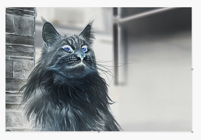 写真・画像の色の反転を行うことができた