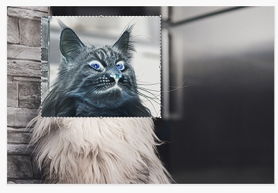 選択した範囲内の色のみが反転した