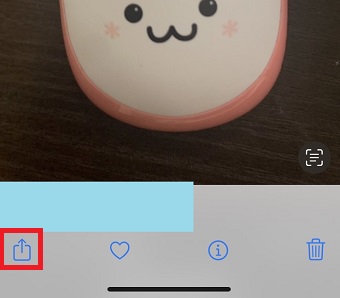 共有マークをタップ