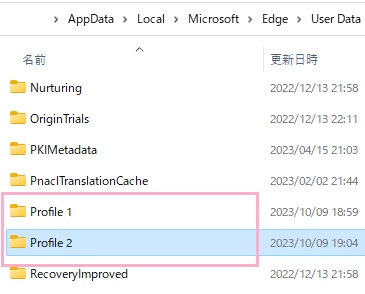 指定して起動したいプロファイル名を確認
