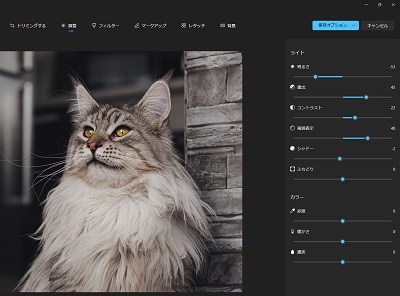「露出」・「コントラスト」・「強調表示」・「シャドー」の項目でも調整を行うことができる
