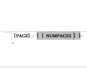 「{NUMPAGES}」の部分が、「{ {NUMPAGES} }」へと変更される