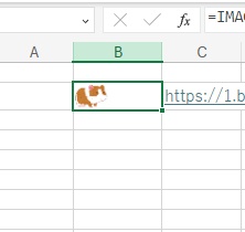 C2セルのURLから画像を読み込みセル内に表示できた
